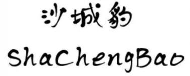 Dongguan  Shachengbao  Bagage  Co., Ltd